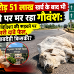 "1 करोड़ 51 लाख खर्च के बाद भी हाईवे पर मर रहा गौवंश: रायसेन-विदिशा की सड़कों पर सरकारी दावे फेल, जवाबदेही किसकी?"